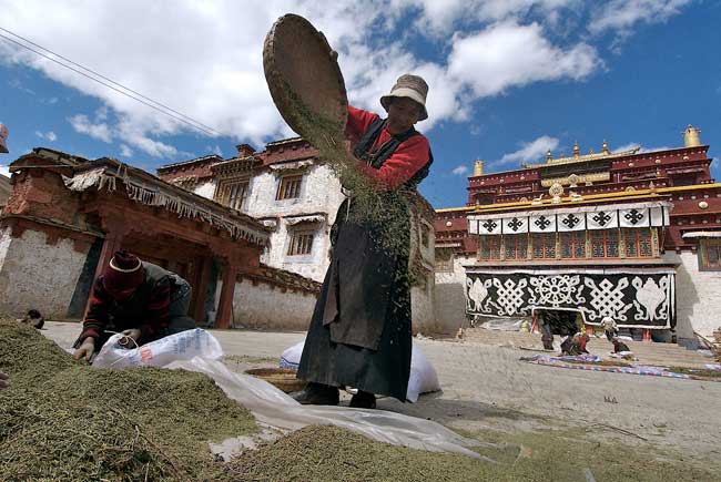 winnowing grain