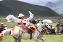 horse-racing festivals